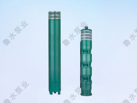 175QJ井(jing)用潛水電泵(beng)