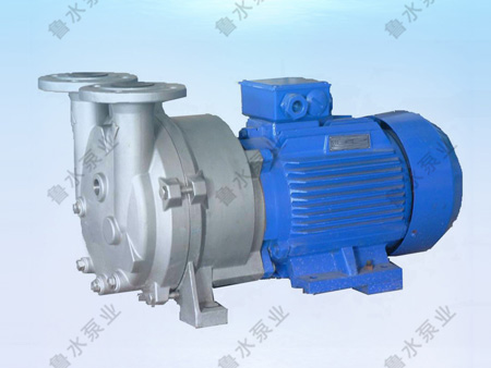 2BV水環式真(zhēn)空泵