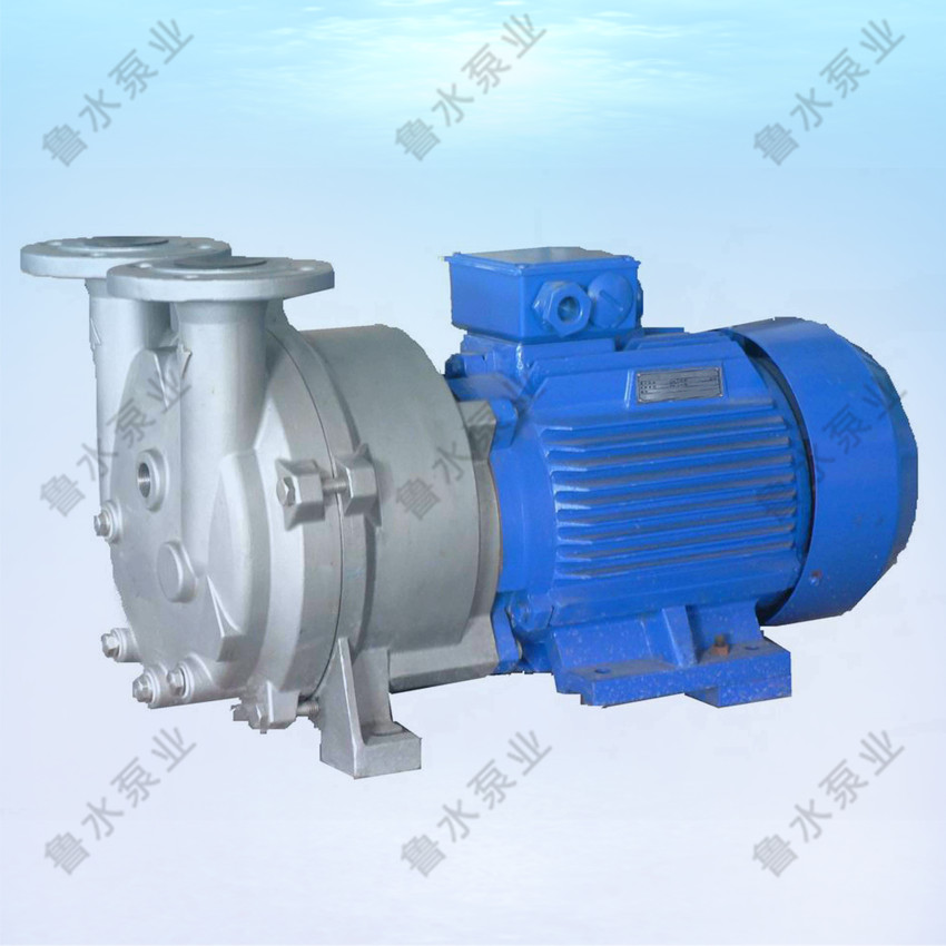 2BV水環(huán)式真空泵