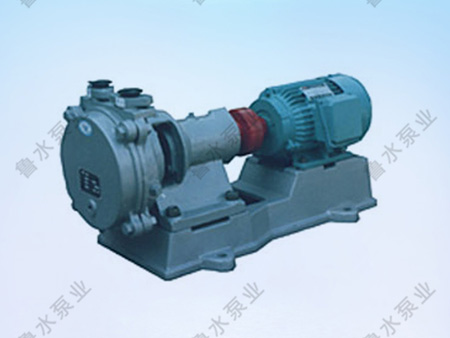 SZB系列水(shuǐ)環式真空泵